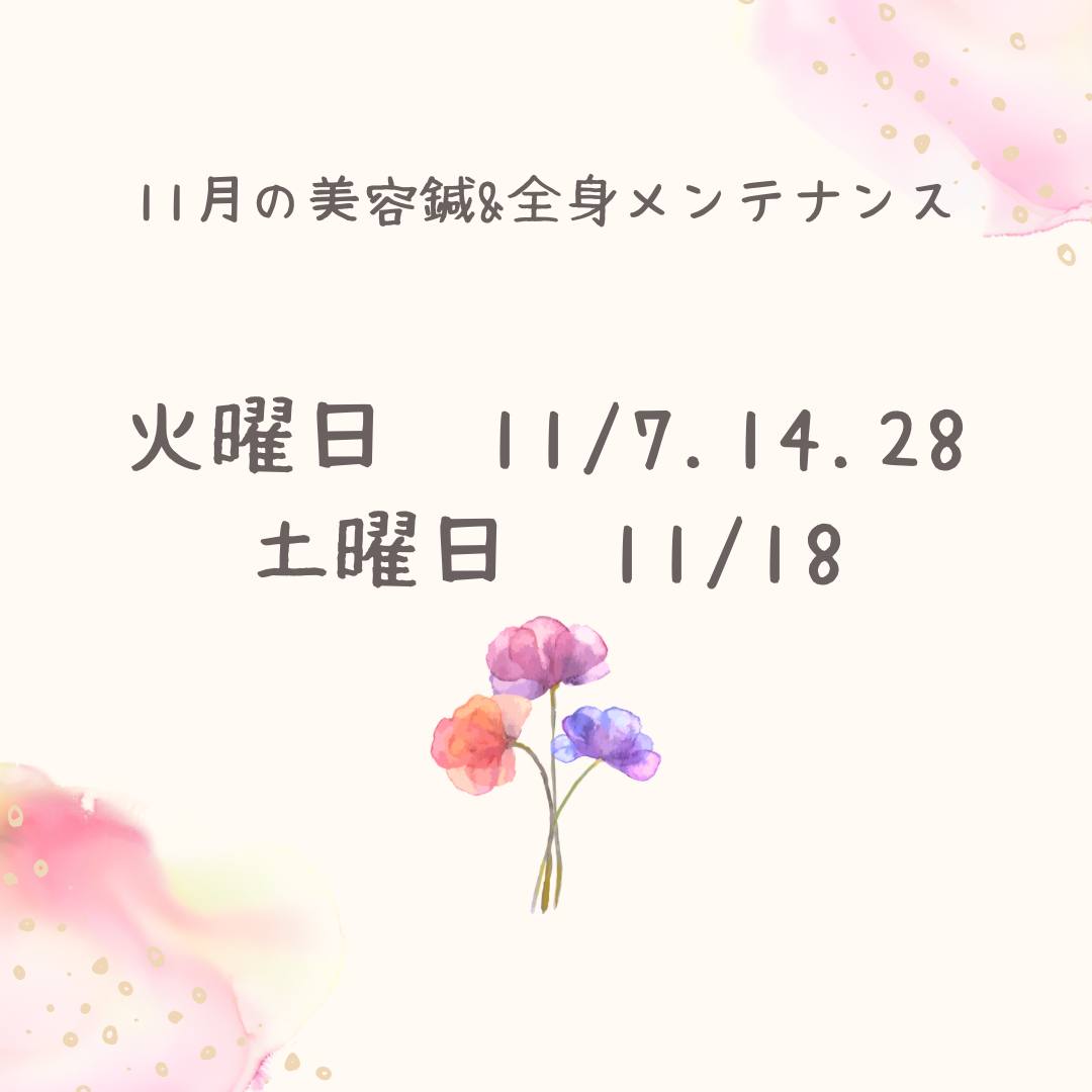 11月美容鍼のお知らせ